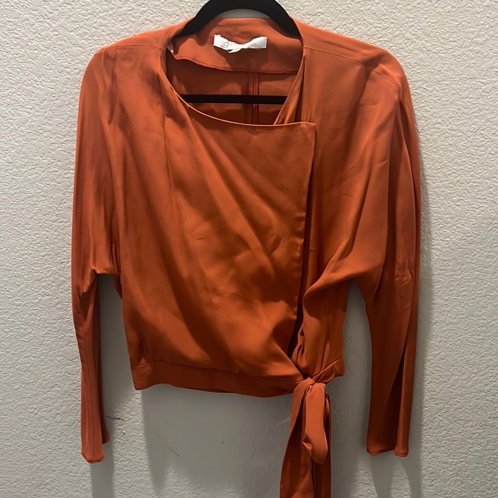 A burnt orange silk long sleeve crop top